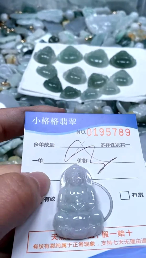 【闪购商品】翡翠颈饰未镶嵌闪购商品0195789