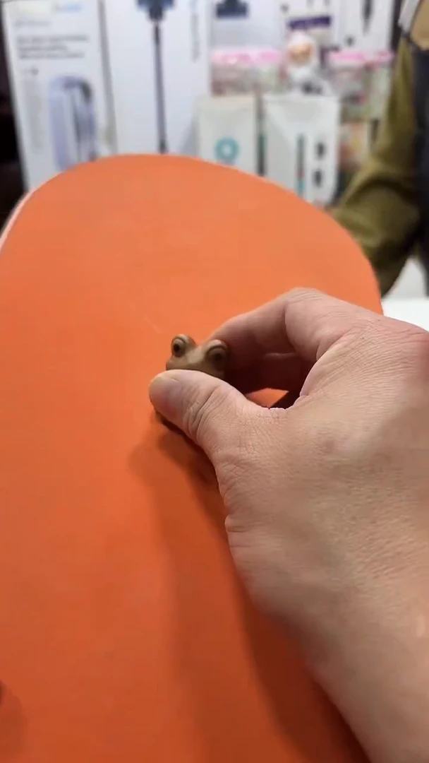 瓷片听****社名品折扣名品折扣名品折扣@@1