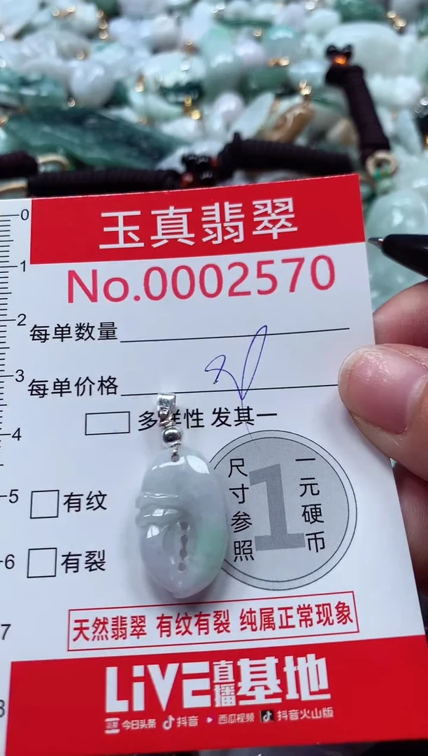 吊坠(不含链)未镶嵌翡翠2570