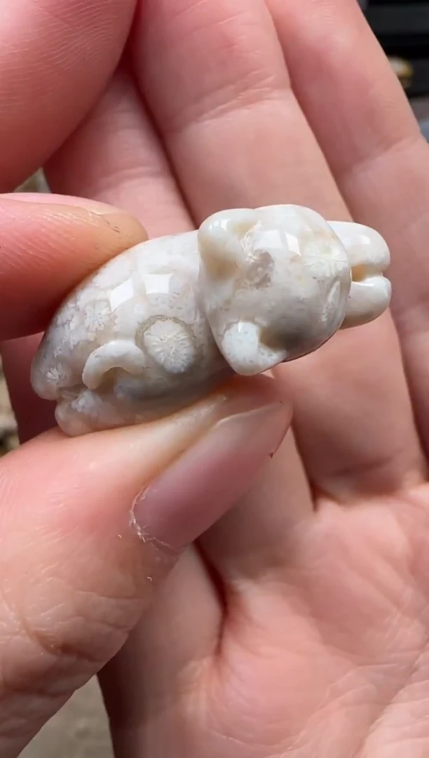 颈饰未镶嵌硅化珊瑚（珊瑚玉）254