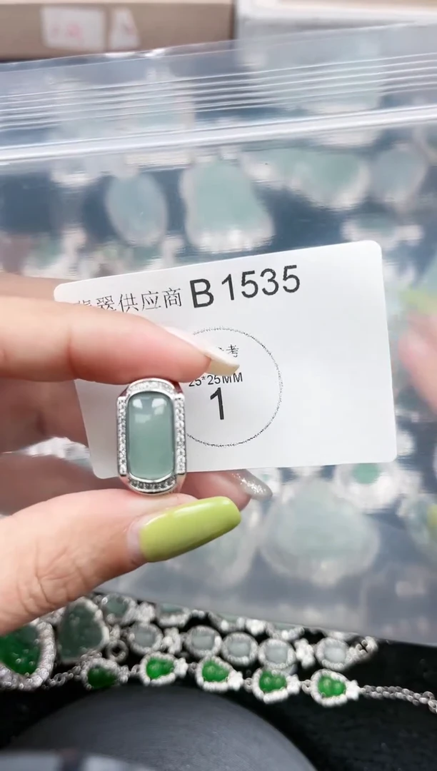 【闪购商品】翡翠颈饰未镶嵌赠皮绳1535