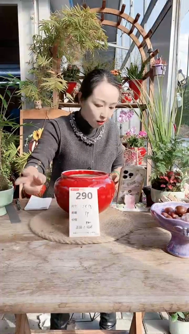 小玩子花盆直播编号290