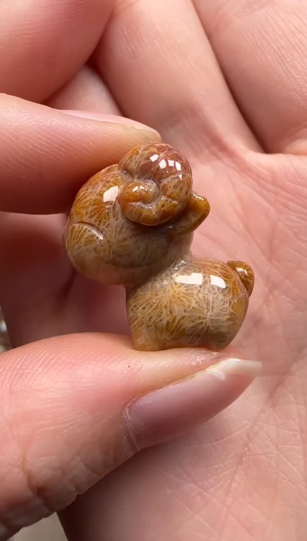 【闪购商品】硅化珊瑚（珊瑚玉）颈饰未镶嵌405