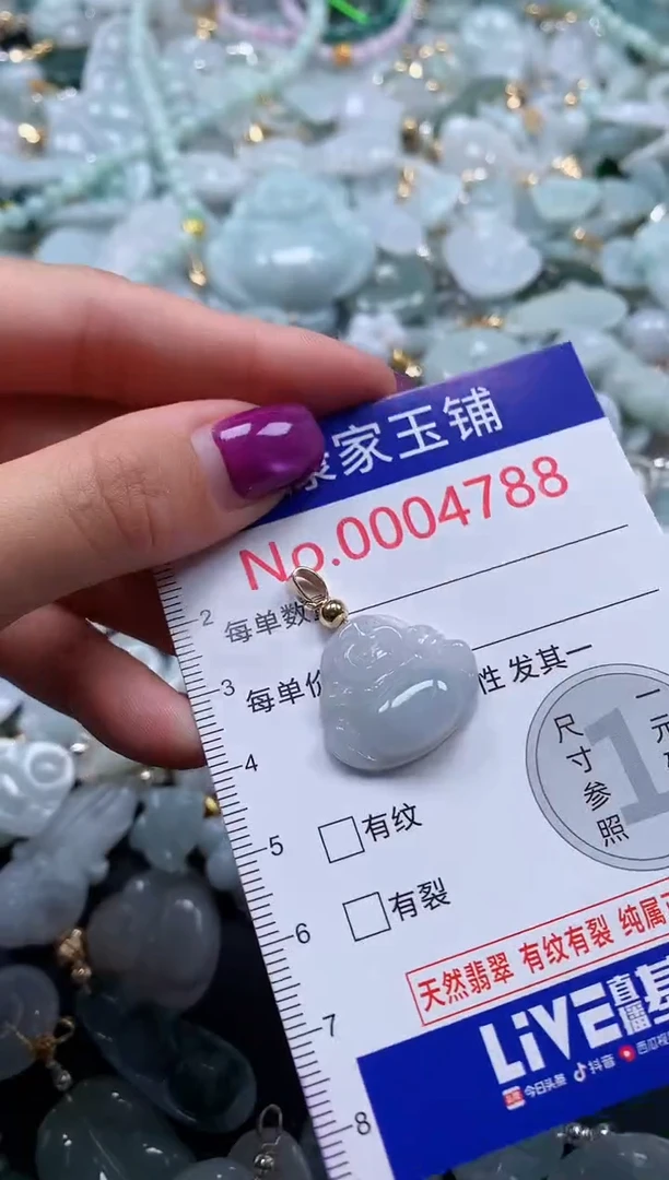 颈饰未镶嵌翡翠4788