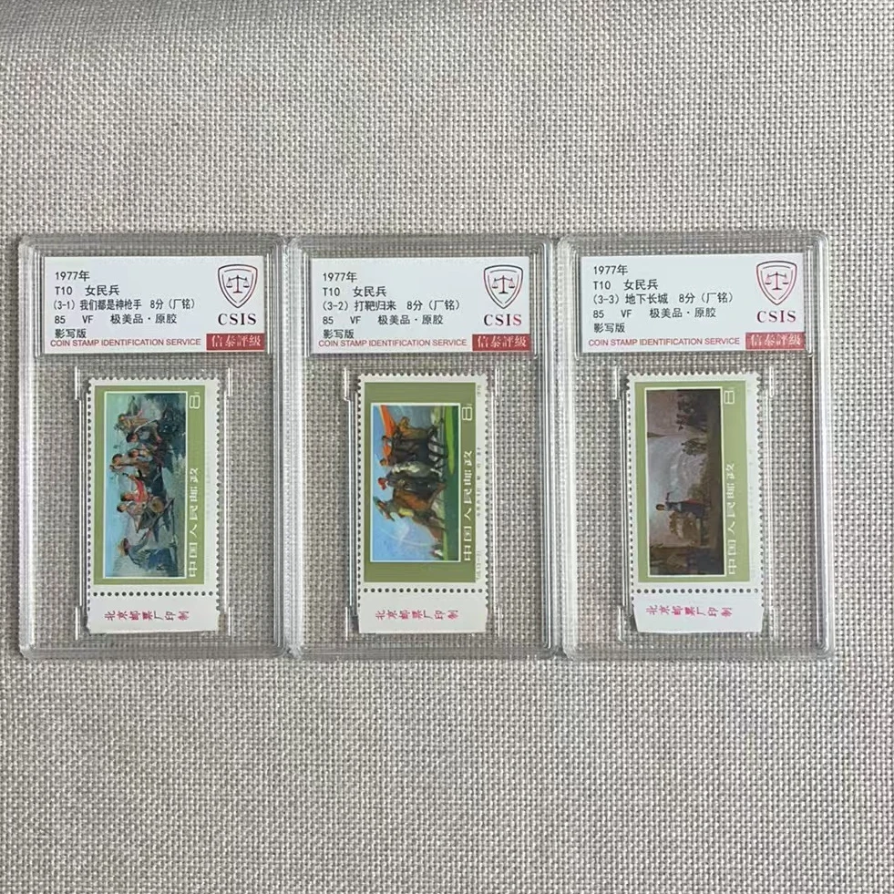 1977年 T10 女民兵 厂铭 85 影写板