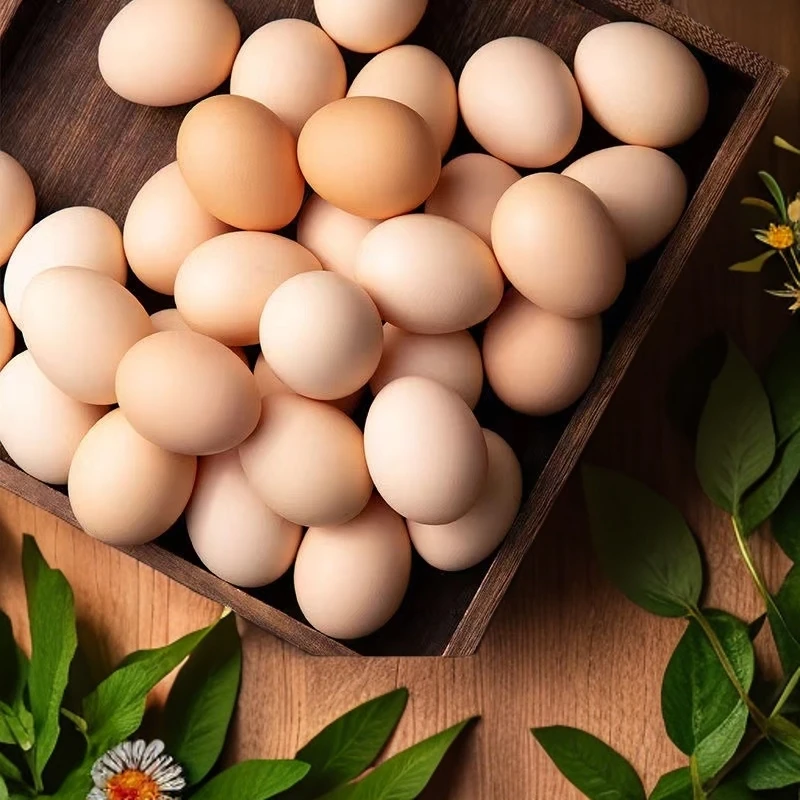 岳飞城正宗农家散养散放新鲜土鸡蛋粉壳现捡现发带点鸡粪生态鸡蛋