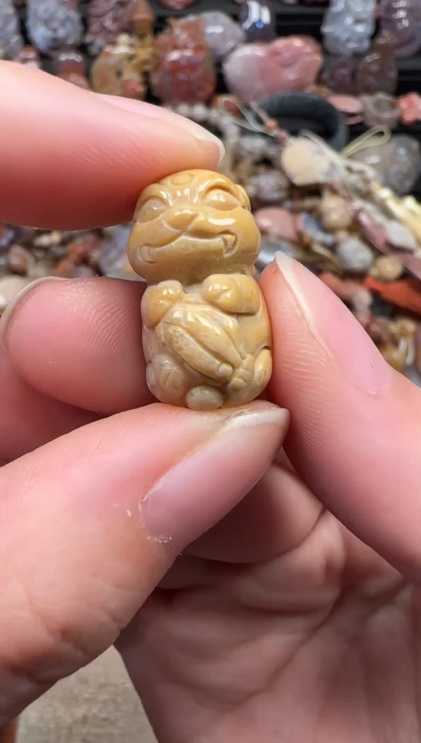颈饰未镶嵌硅化珊瑚（珊瑚玉）489