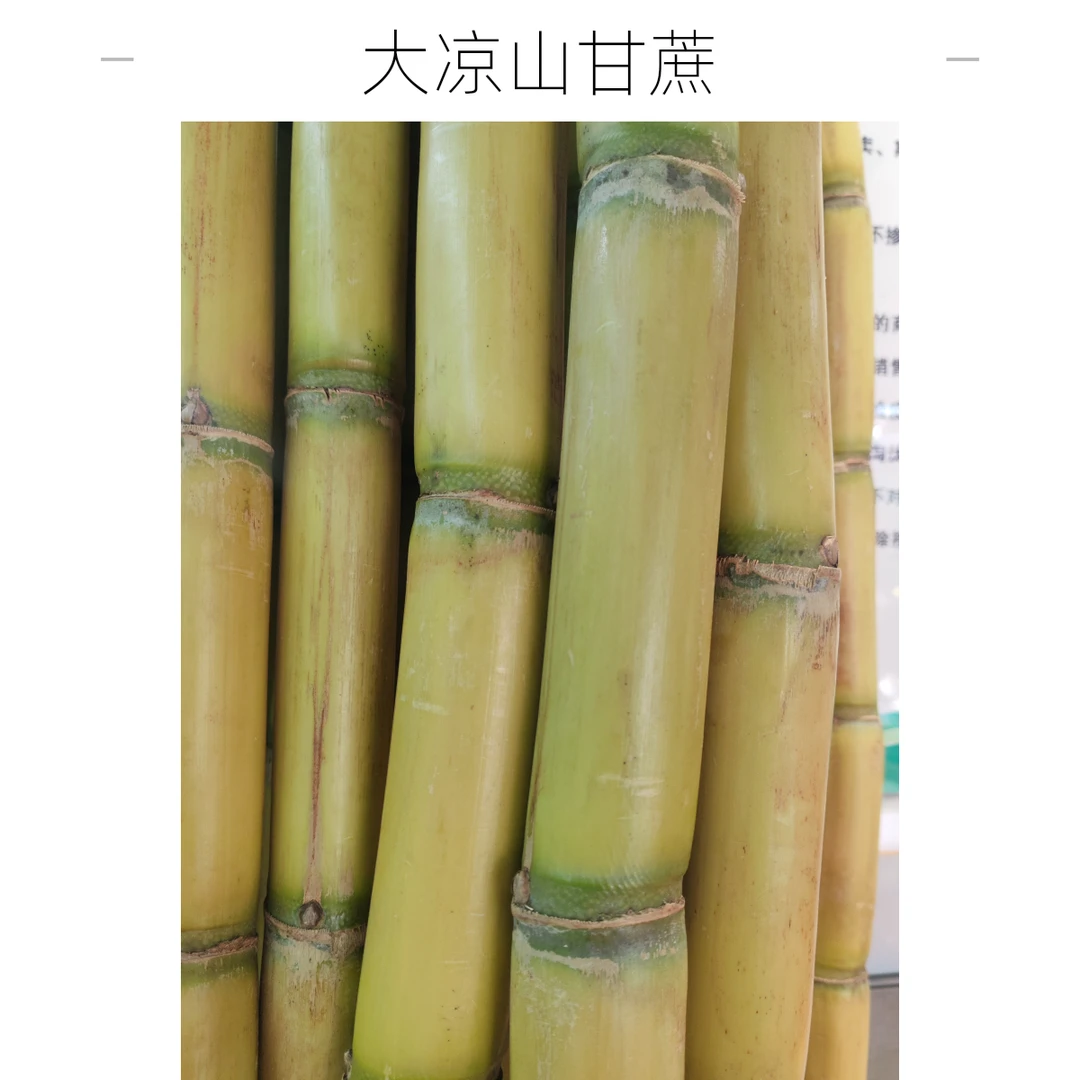 大凉山露天甘蔗5斤装（不去皮净重5斤）可去皮去结