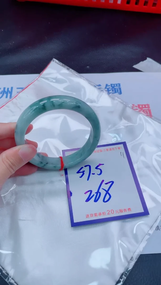 未镶嵌手镯翡翠11111111