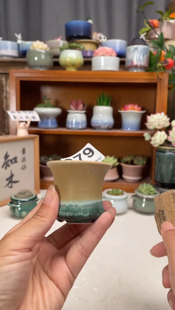 瓷片379知木小芳花盆