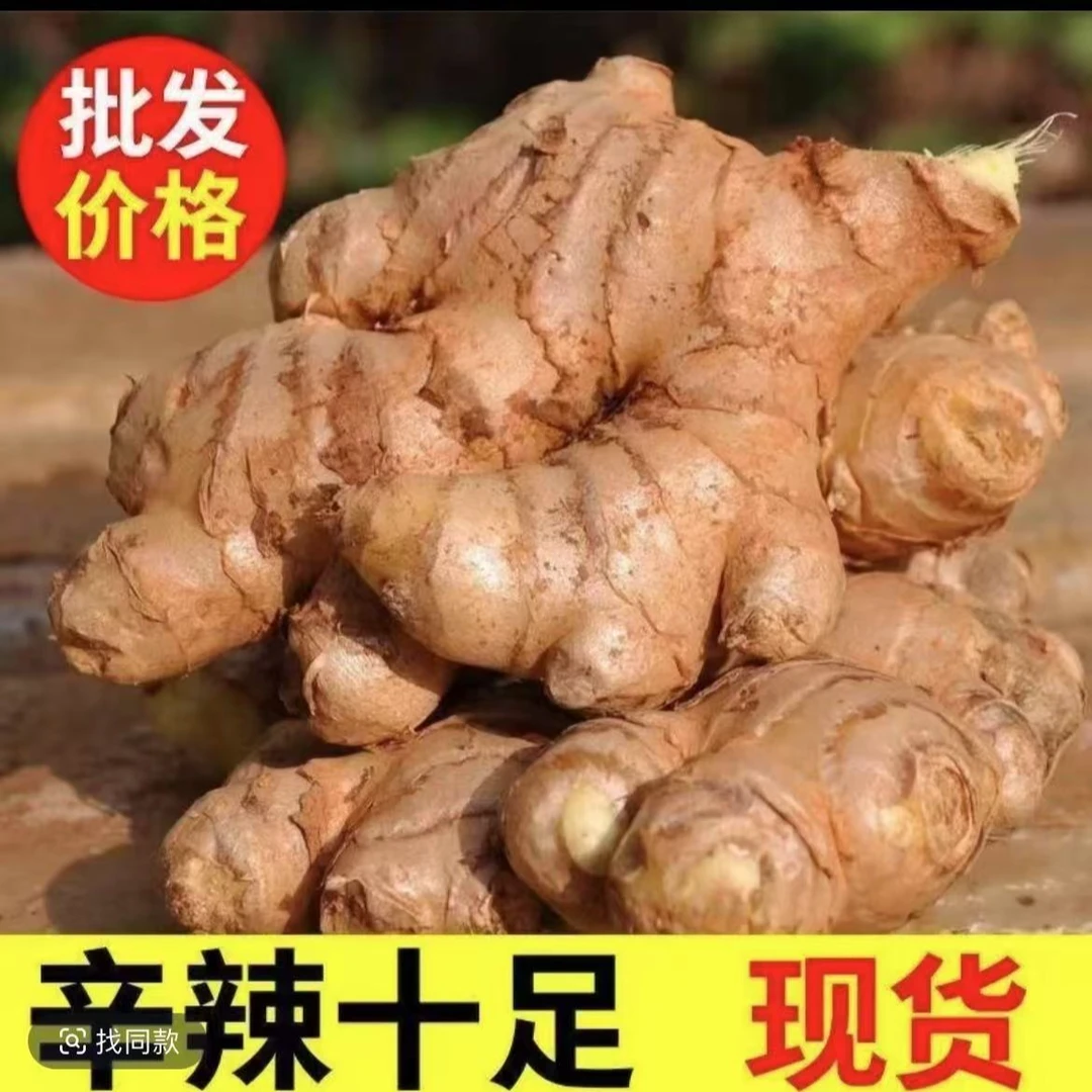 江西农家小黄姜香味浓郁辛辣够味现挖山地种植生姜产地直销新鲜姜