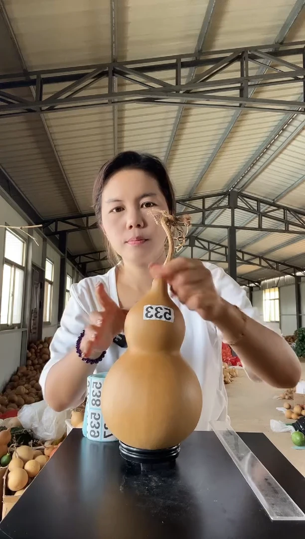 533天然葫芦摆件 一物一拍龙头不保售后