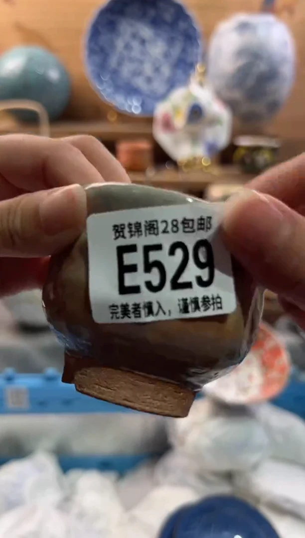 瓷片用*      E529