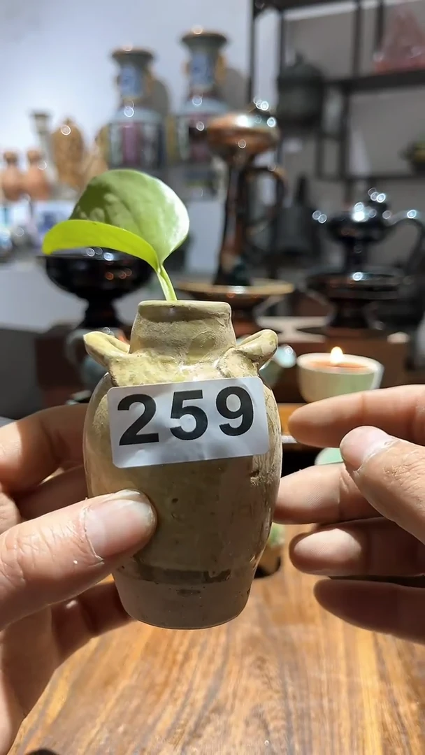 【闪购商品】摆件