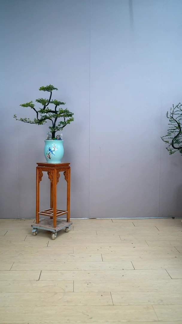 【闪购商品】桌面款广东小叶紫檀黑骨茶