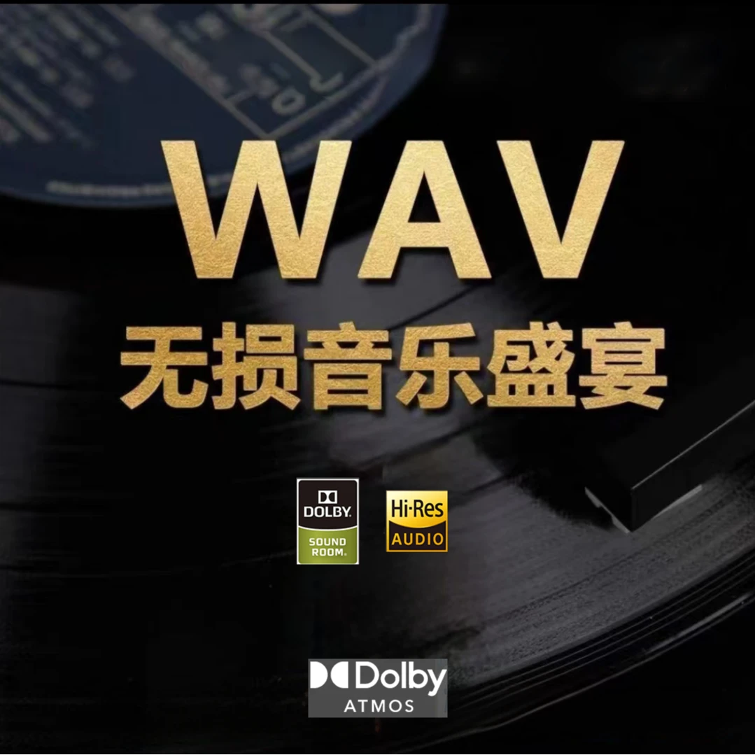 2025全新WAV车载音乐U盘HI-FI音效抖音热歌流行DJ经典怀旧老歌