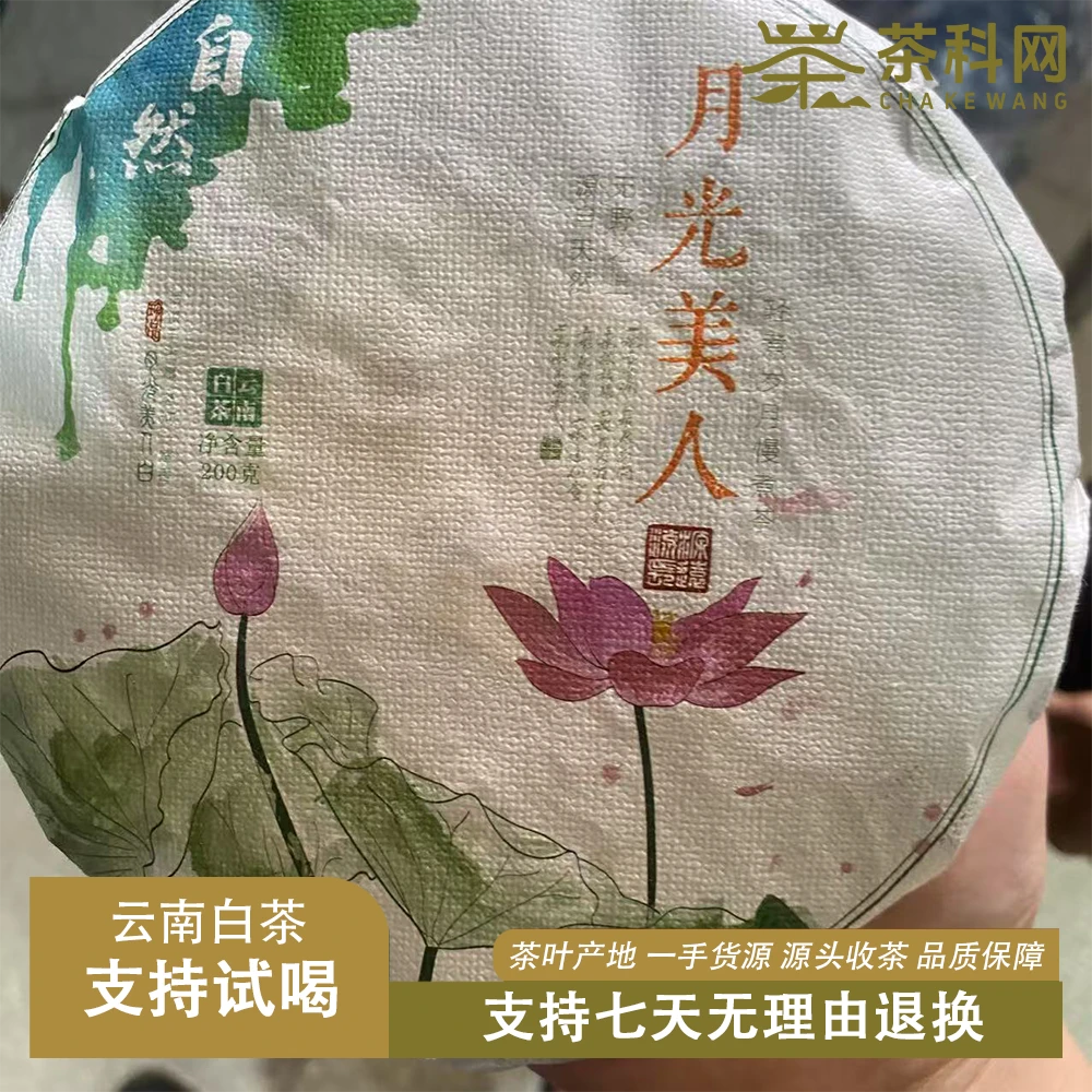 25-0703 15号 2025年懂过月光美人白茶200g