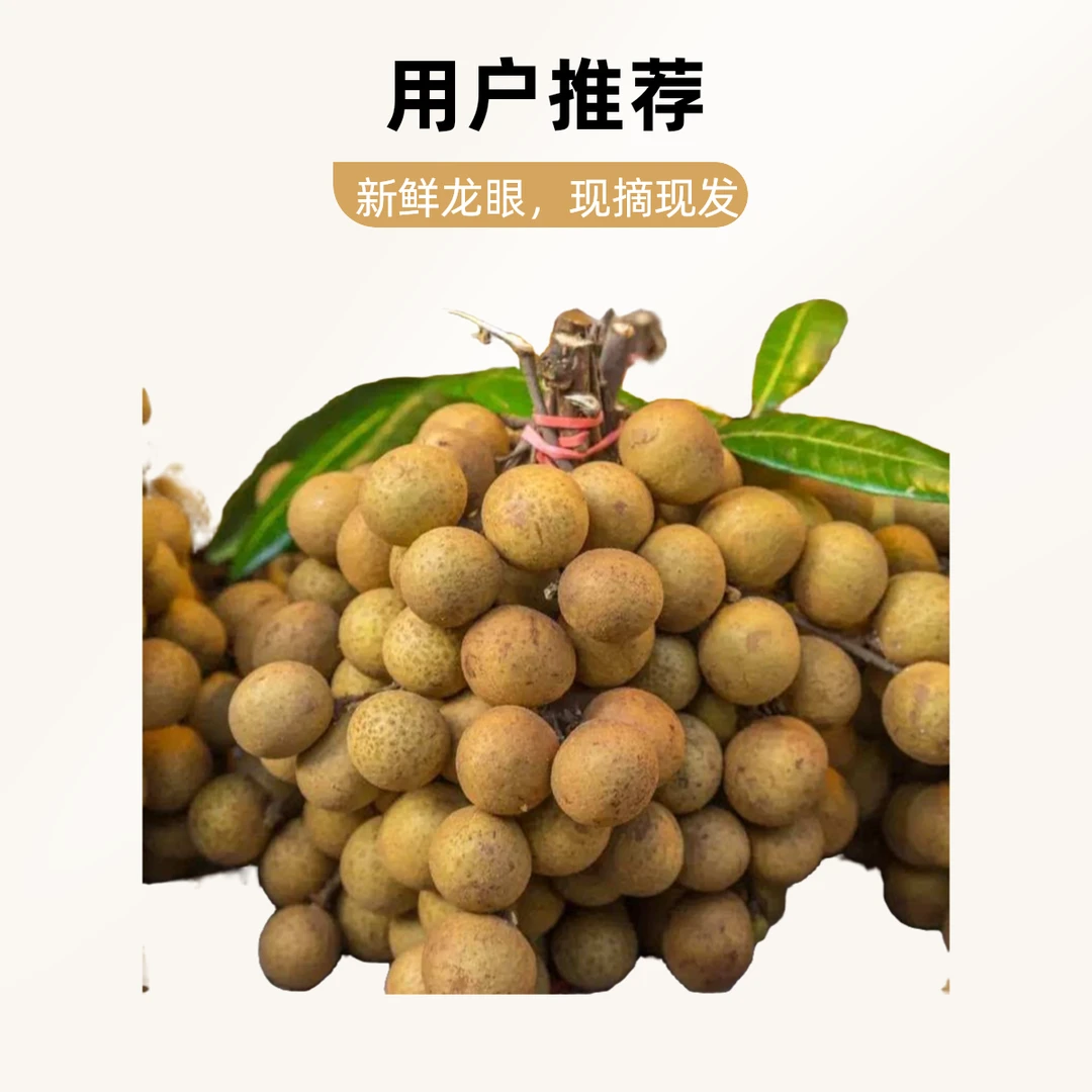 4.5-10斤次日达泰国老树精品龙眼 脆甜肉厚 爆甜多汁
