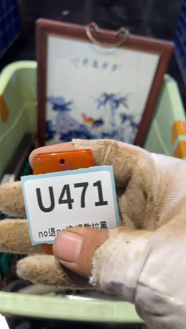 瓷片郭表弟直播链接火爆