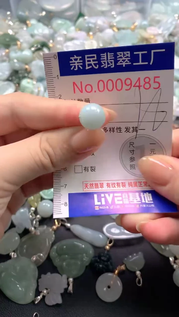 颈饰未镶嵌翡翠9485