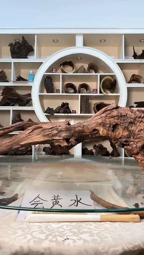 柚木鱼缸造景素材木198