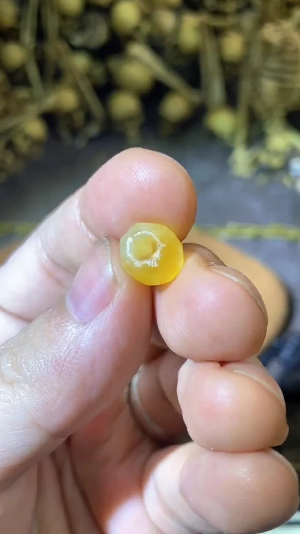 【闪购商品】琥珀颈饰未镶嵌9蜜蜡无相隔珠卡子