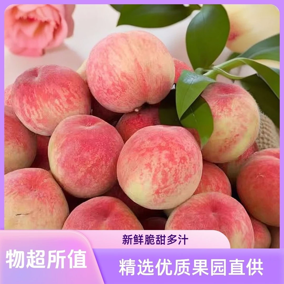 【现摘现发】新鲜水蜜桃脆甜多汁包邮当季水果