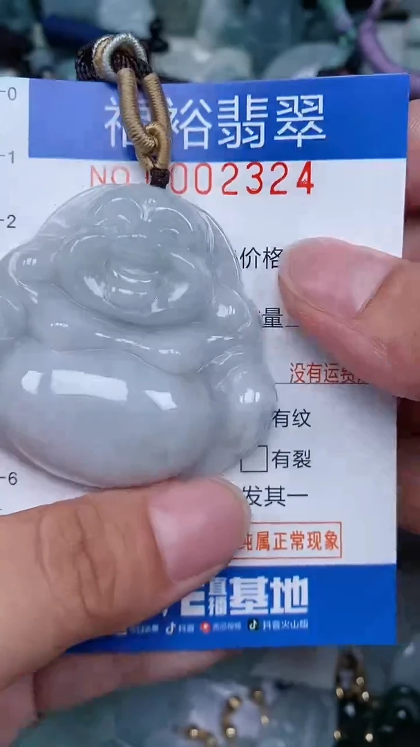 翡翠未镶嵌颈饰...0002324