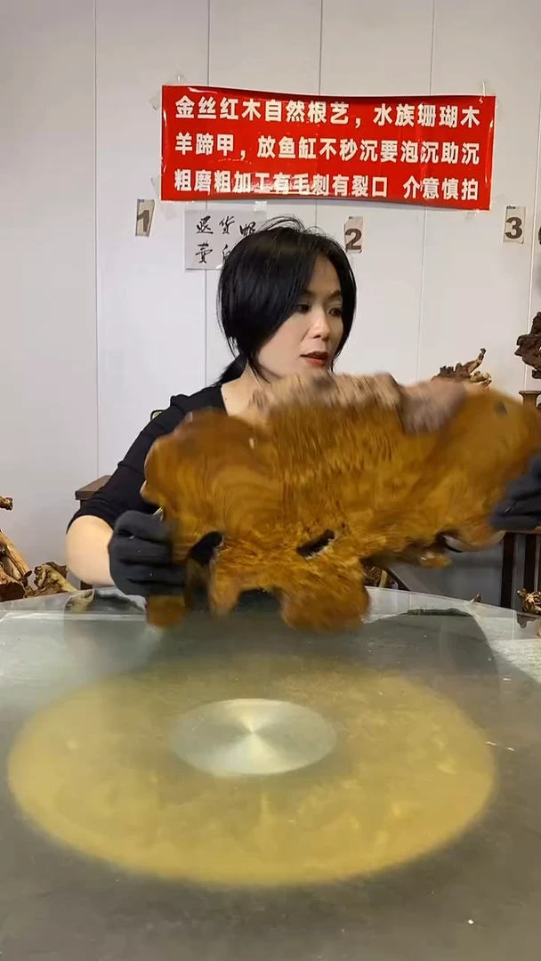 香榧木爱**树金丝红木 羊蹄甲