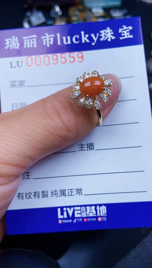 翡翠银S925镶嵌颈饰9559
