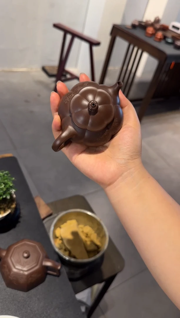 茶壶紫砂大**简大鱼海棠