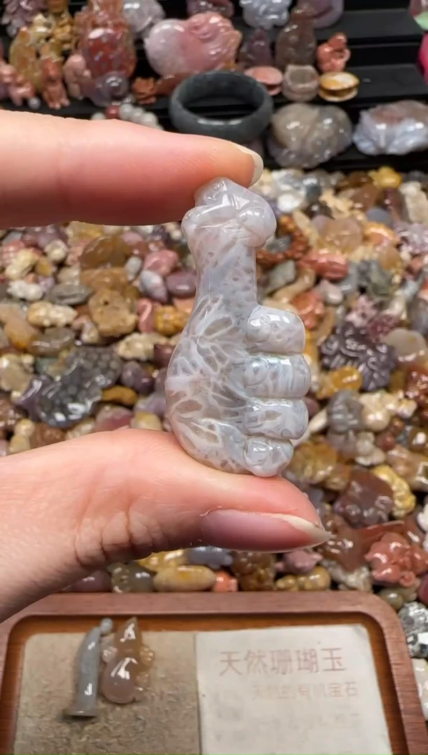 颈饰未镶嵌硅化珊瑚（珊瑚玉）663