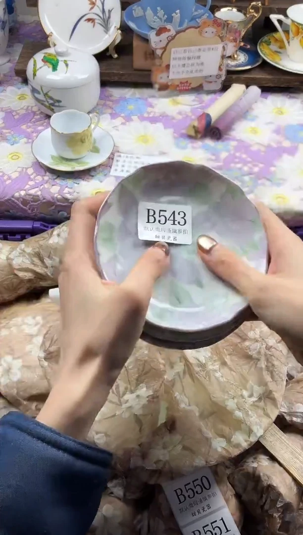 瓷片饭*粒                B543