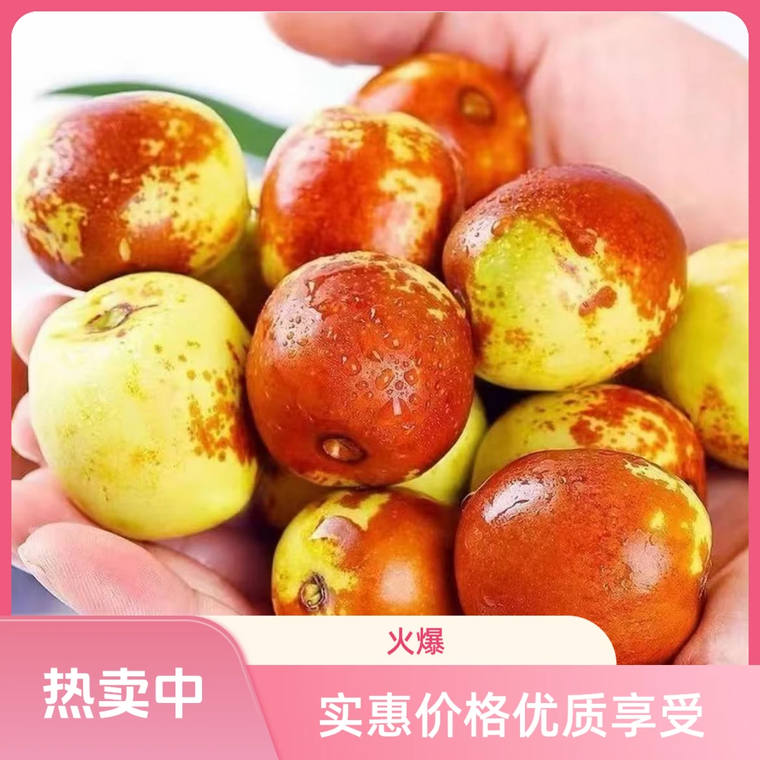 山东沾化一代冬枣5斤带箱现摘现发新鲜甜脆当季丰富水果S