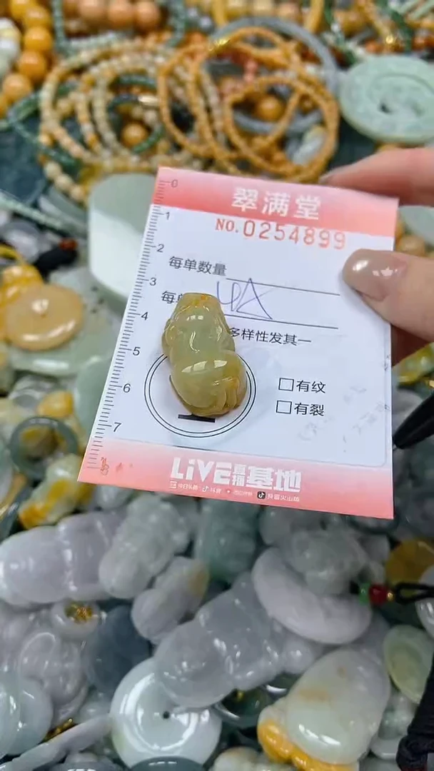 未镶嵌挂件翡翠闪购0254899