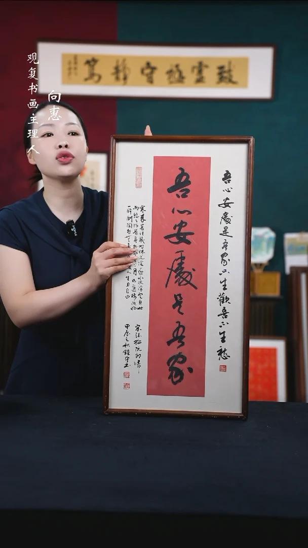 书法范铠风-吾心安处是吾家-36*69书法