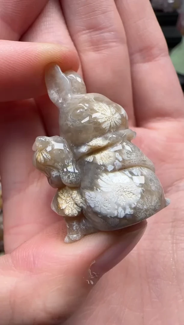 颈饰未镶嵌硅化珊瑚（珊瑚玉）334