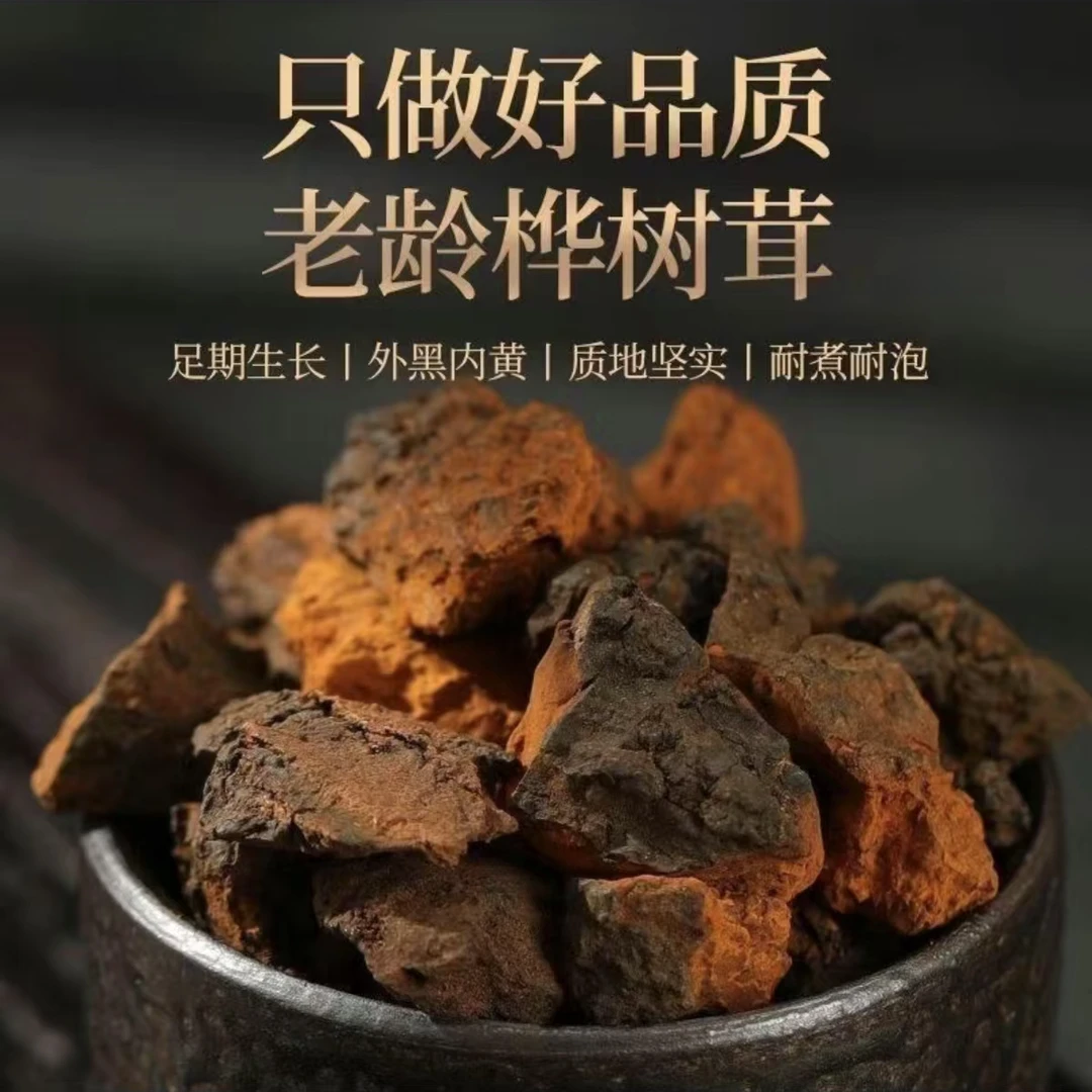 中俄边境手工精选桦树茸黑皮块煮水泡水天然白桦茸