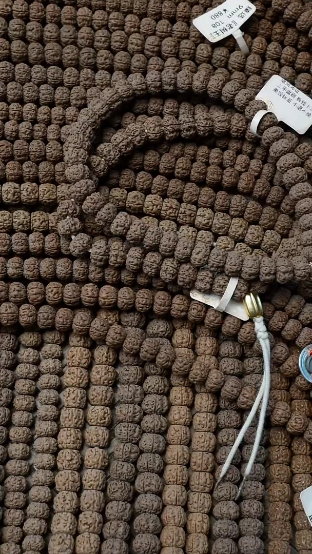 金刚菩提吊坠林*。老树王