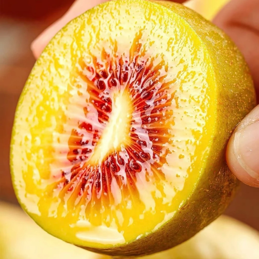 [湘西]正宗红心猕猴桃