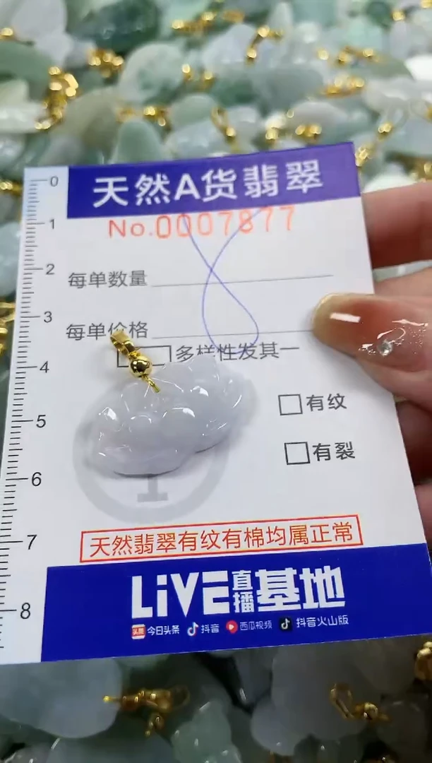 颈饰未镶嵌翡翠天然A货翡翠