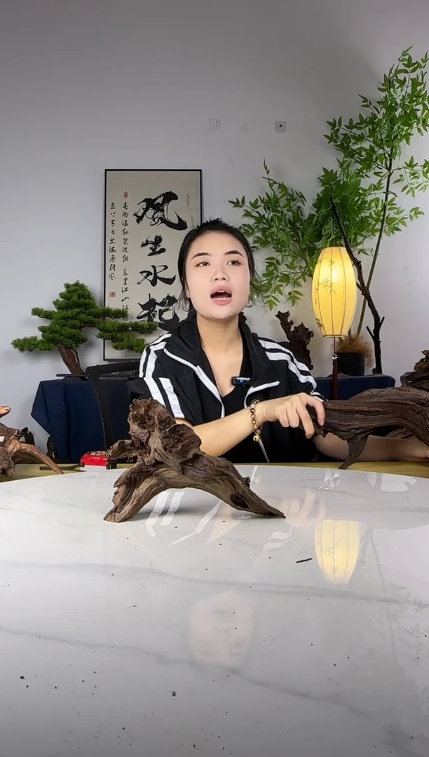 阿*拍这个定向编号24