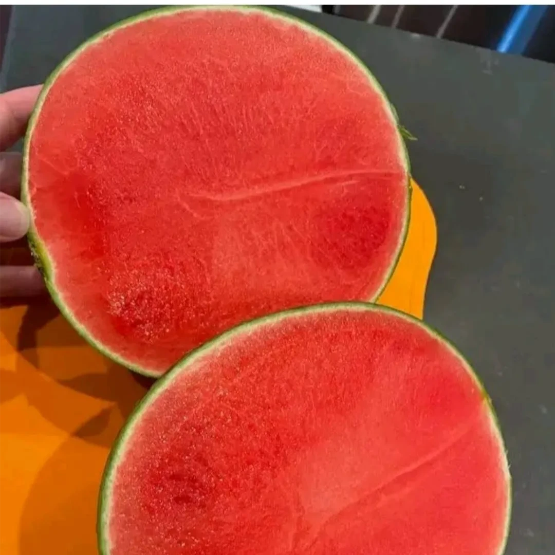 潍坊现摘头茬手撕冰糖籽西瓜（纯人工授粉）礼盒装麒麟西瓜2K小糖丸