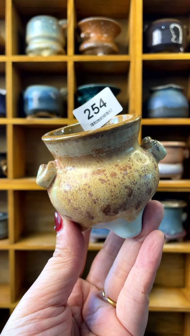 【闪购商品】陶254 内口 4.5