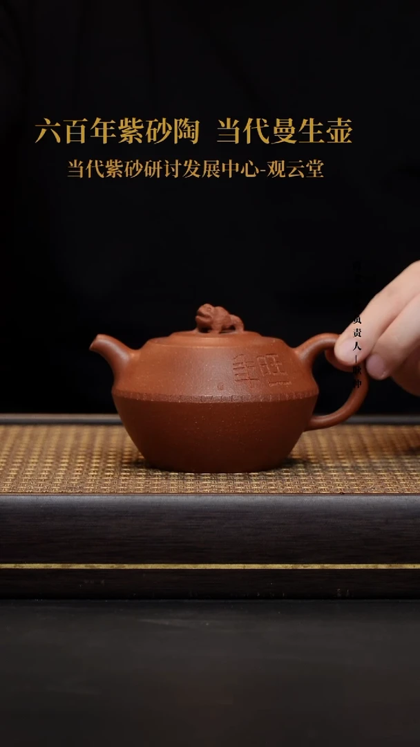 茶壶紫砂紫砂茶壶红降坡丰年