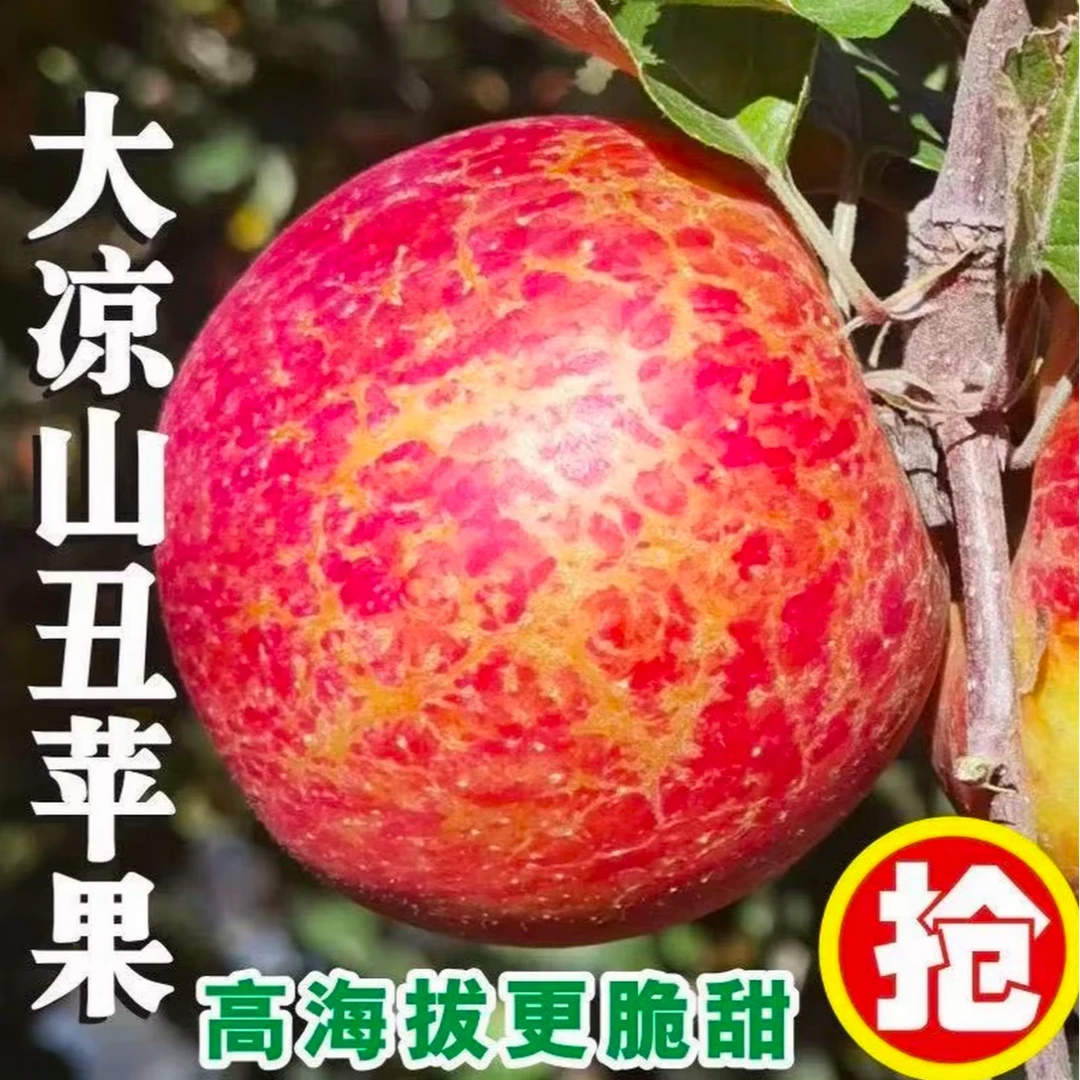正宗四川大凉山冰糖心丑苹果新鲜现摘脆甜多汁水果XZ