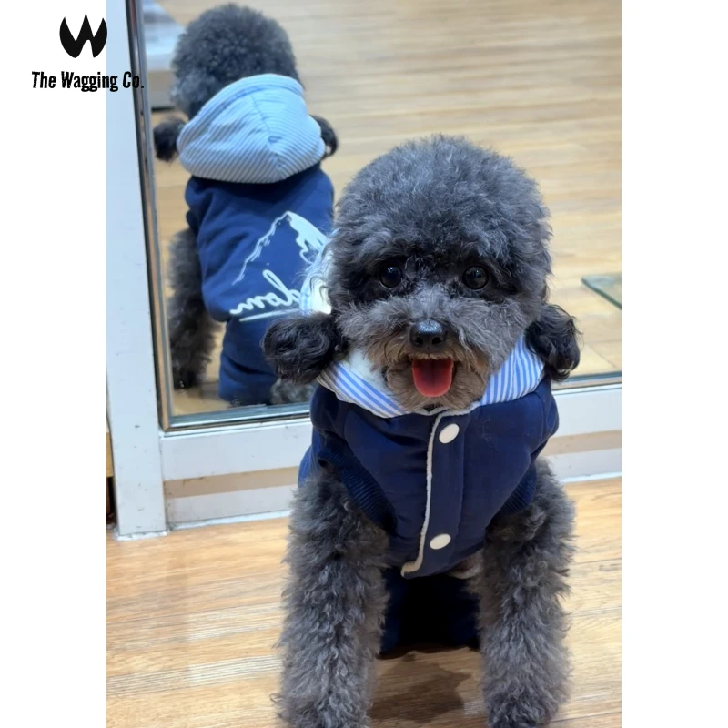 【特厚保暖】摇粒绒夹棉户外冲锋衣加绒加厚宠物秋冬四脚衣小型犬