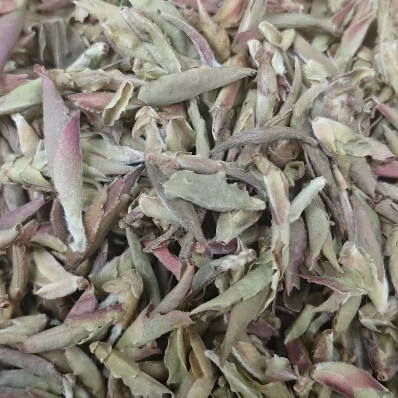 （JX-1061号）2025年 荒野紫芽孢 .白茶【散茶】