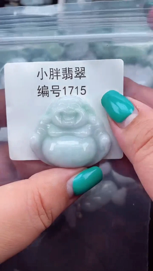 颈饰未镶嵌翡翠缅甸天然A货翡翠1715
