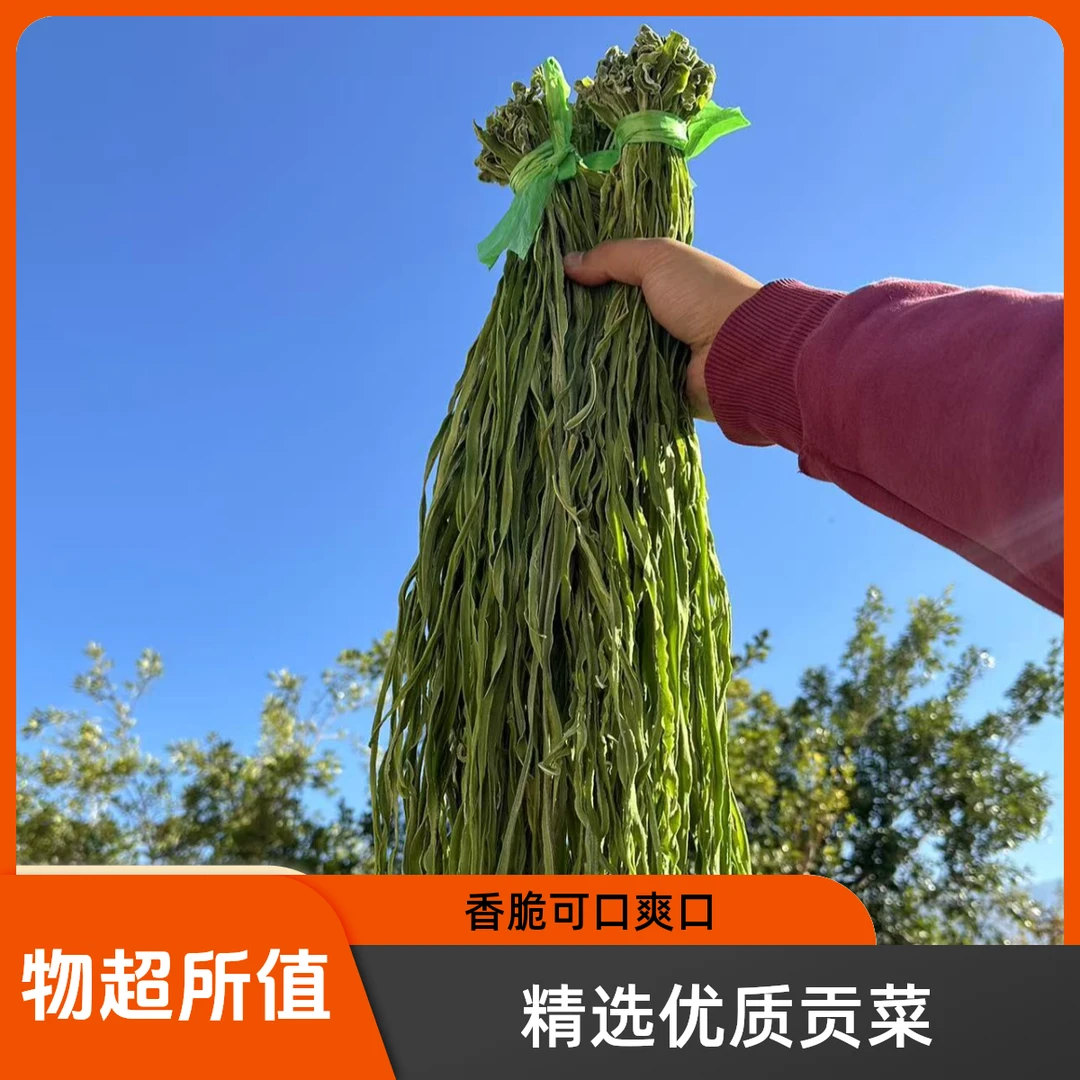 【二斤装】云南大理高原脆嫩贡菜响菜苔干农家贡菜1000g